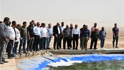 بدء إستصلاح وزراعة 400 فدان فول صويا فى قنا 