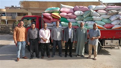 توريد 2608 طن قمح لصوامع ومطاحن كفر الشيخ 