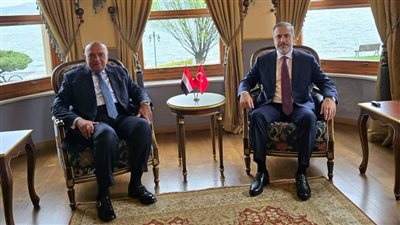 وزير الخارجية يعقد جلسة مباحثات مع نظيره التركي.. صور