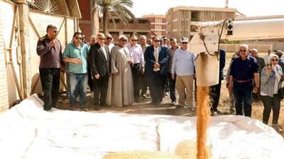 الشرقية: افتتاح موسم حصاد محصول القمح لعام 2024 بحقل إرشادي بصفيطة
