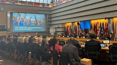 المشاط: نعمل على تسريع إجراءات الموافقة على التمويلات لتحقيق نتائج أفضل 