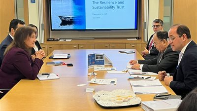 تفاصيل لقاء وزير المالية مع رئيس بعثة صندوق النقد بمصر 