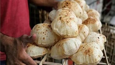 أسعار الخبز والفينو السياحي اليوم الأحد في الأسواق