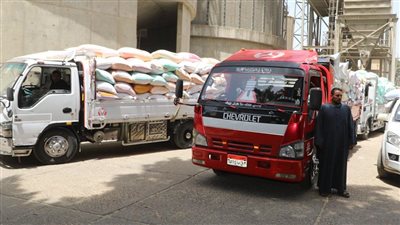 توريد 1766 طن قمح لصوامع وشون القليوبية