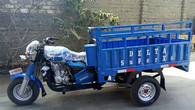 مصرع شخص صدمه تروسيكل على طريق أجا بالدقهلية