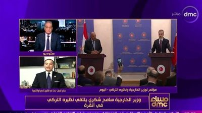 باحث في الشؤون الدولية: زيارة سامح شكري لتركيا أذابت برودة العلاقات