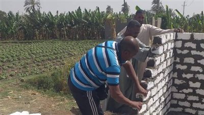 قنا تنظم حملة لرفع المخلفات بشوارع أولاد نجم القبلية