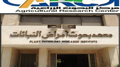 29 أبريل.. معهد بحوث أمراض النباتات ينظم المؤتمر العلمي الأول