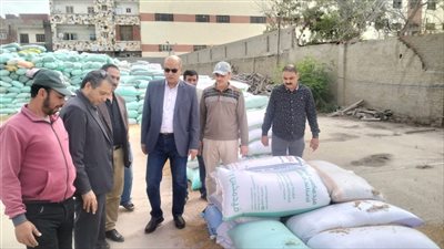 شون وصوامع الدقهلية تستقبل 20 ألف و258 طن قمح 