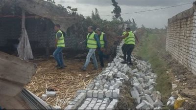 الإسكندرية تشن حملات مكثفة لضبط الأسواق 