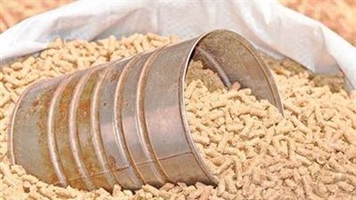 أسعار الأعلاف بتعاملات اليوم الخميس عند تاجر الجملة.. شيكارة العلف بكام