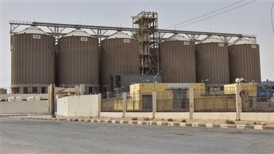 محافظ أسيوط يتابع انتظام توريد القمح واستقبال 2579 طن