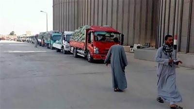 شون وصوامع المنيا تستقبل 5532 طن قمح منذ بدء موسم التوريد