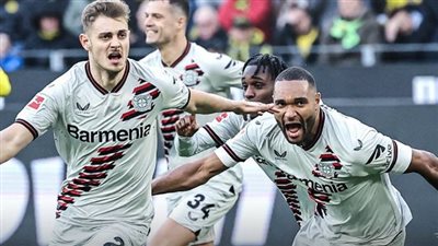 ستانيسيتش ينقذ ليفركوزن من الخسارة أمام دورتموند 