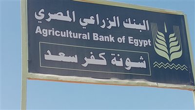 إفتتاح شونة كفر سعد وبدء توريد القمح بدمياط