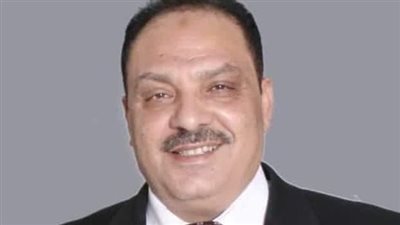 النجار يثمن جهود الدولة لدعم زراعة القمح لتحقيق الأمن الغذائي في ظل تحديات التغيرات المناخية 