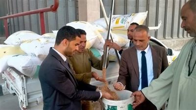 توريد 4716 طن قمح لشون وصوامع محافظة البحيرة .