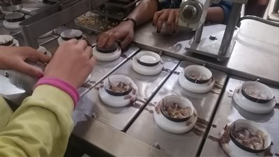 ضبط 18 ألف قطعة من المثلجات  غير صالحة للاستخدام الادمى بسوهاج
