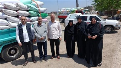 توريد 67488 طن قمح إلي مواقع التخزين بمراكز ومدن الشرقية| صور