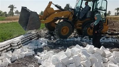 إزالة 17 حالة تعدِ ضمن أعمال الموجة الـ 22 ببني سويف 