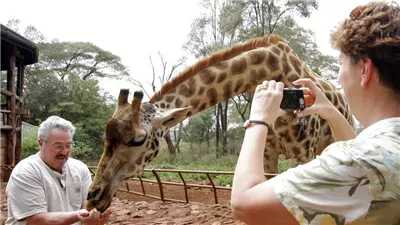 هل سياسة كينيا الجديدة بدون تأشيرة تضر بالسياحة بدلا من تعزيزها؟