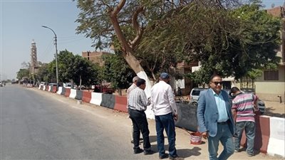 مطاي بالمنيا تتجمل .. إستمرار زراعة الأشجار  ودهان البلدورات