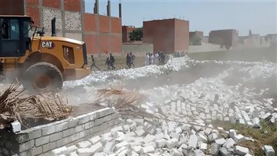 إزالة 67 حالة تعدِِ على الأرض الزراعية بالمنيا