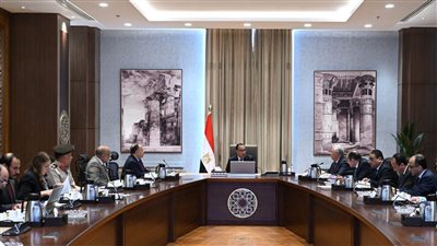 رئيس الوزراء يبحث سبل تشجيع صناعة الأسمدة للتوسع وزيادة حجم صادراتها    