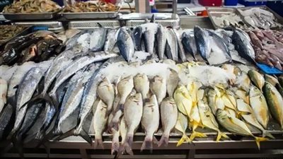ارتفاع الكابوريا .. أسعار الأسماك في سوق العبور للجملة 