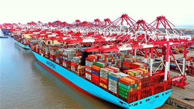 شعبة المستوردين تكشف سبب رفض التجار استلام البضائع المتراكمة بالموانئ (فيديو)