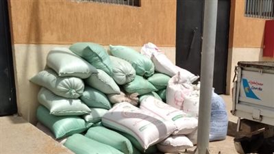 استمرار توريد القمح بشون وصوامع القليوبية