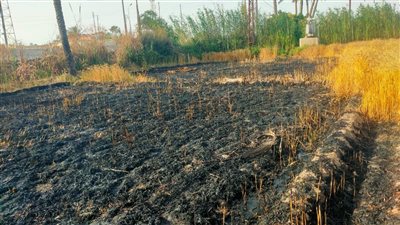 الحماية المدنية بالإسماعيلية تسيطر علي حريق مزرعة القمح 