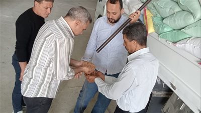 توريد 7545 طن قمح لشون وصوامع البحيرة 