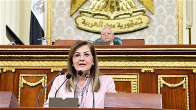 السعيد: توجيه استثمارات عامة قدرُها 268 مليار جنيه لقطاعات التعليم والصحة والخدمات الاجتماعية الأخرى 