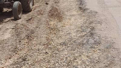 محافظ الغربية يتابع أستمرار أعمال تأهيل ورصف طريق كفور بلشاي