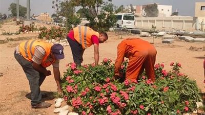 استعدادًا لأعياد الربيع وشم النسيم  جهاز التطوير والتجميل يواصل أعماله في رفع كفاءة مسطحات ميادين الإسماعيلية