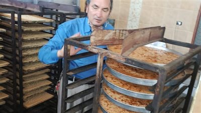  ضبط وإعدام 16 طن أغذية وغلق 177 منشأة مخالفة بالشرقية 