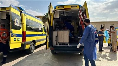 المستشفيات المصرية تستقبل 29 مصابا فلسطينيًّا