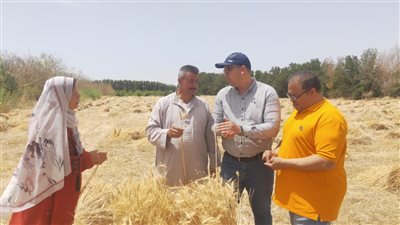 البحوث الزراعية وبحوث الصحراء يتابعان نتائج المشروعات البحثية المشتركة وبرامج التنمية بجنوب سيناء