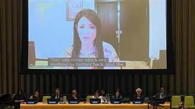 المشاط: الدول النامية والاقتصادات الناشئة تُعاني من انخفاض 