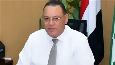 ضبط لحوم وكبدة وأسماك مجهولة المصدر بالشرقية 