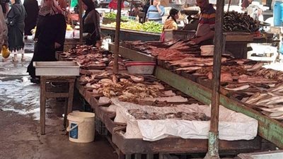 المقاطعة تنجح فى الإسكندرية.. عزوف المواطنين وإنخفاض أسعار السمك   