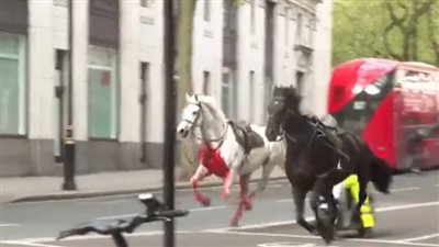 خيول الجيش البريطاني تركض وسط لندن وتحدث إصابات