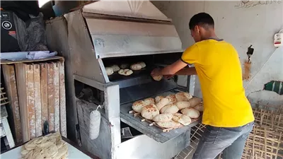 عاجل.. كفالة 200 ألف جنيه لأول صاحب مخبز سياحى مخالف بالسيدة زينب