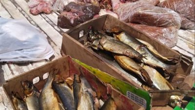 ضبط لحوم وأسماك غير صالحة للاستهلاك الآدمي بالفيوم 