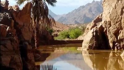   أبرز مشروعات وزارة الري في سيناء.. بالتزامن مع عيد تحريرها