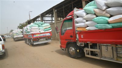 استمرار أعمال توريد القمح بمراكز ومدن الغربية