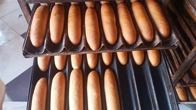 تحرير محاضر للمخابز لمخالفة أسعار الخبز بنجع حمادي