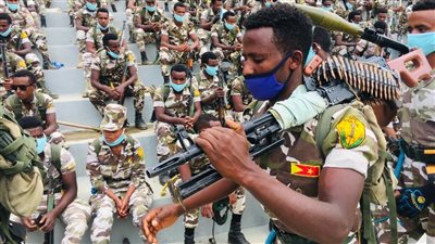 إطلاق برنامج نزع السلاح والتسريح وإعادة الإدماج في تيغراي