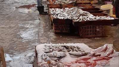 تجار التجزئة 